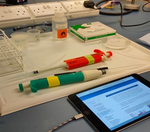 Life in a Foreign University: My First Year of Discovery 